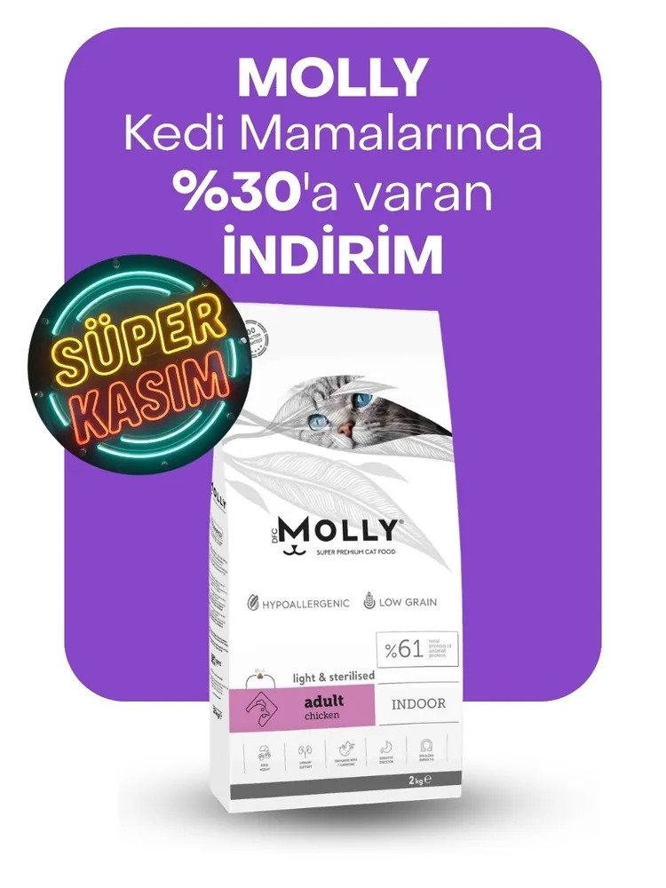 Molly kedi mamalarında %30'a varan indirim