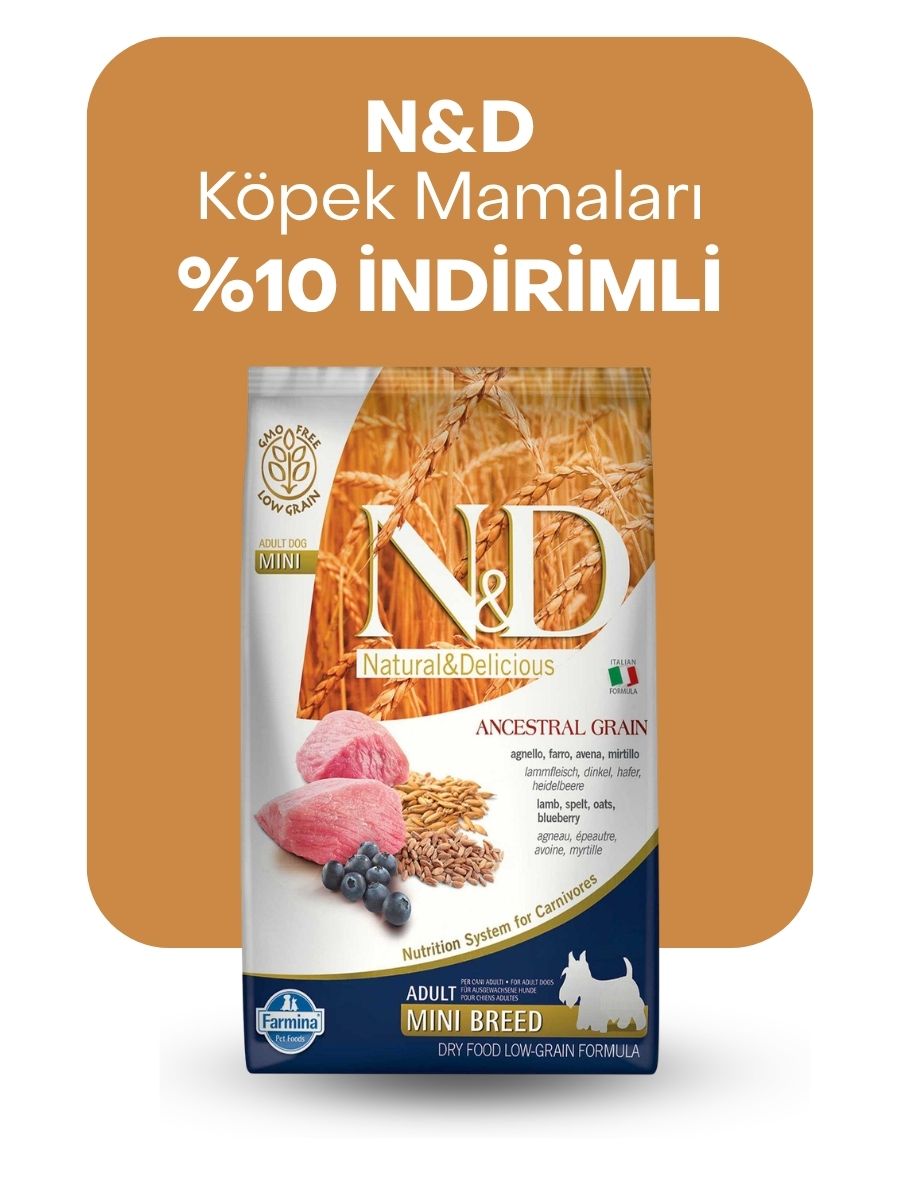 N&D köpek mamalarında %10 indirim
