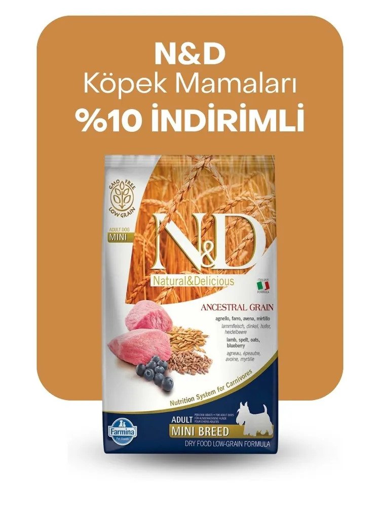 N&D köpek mamalarında %10 indirim