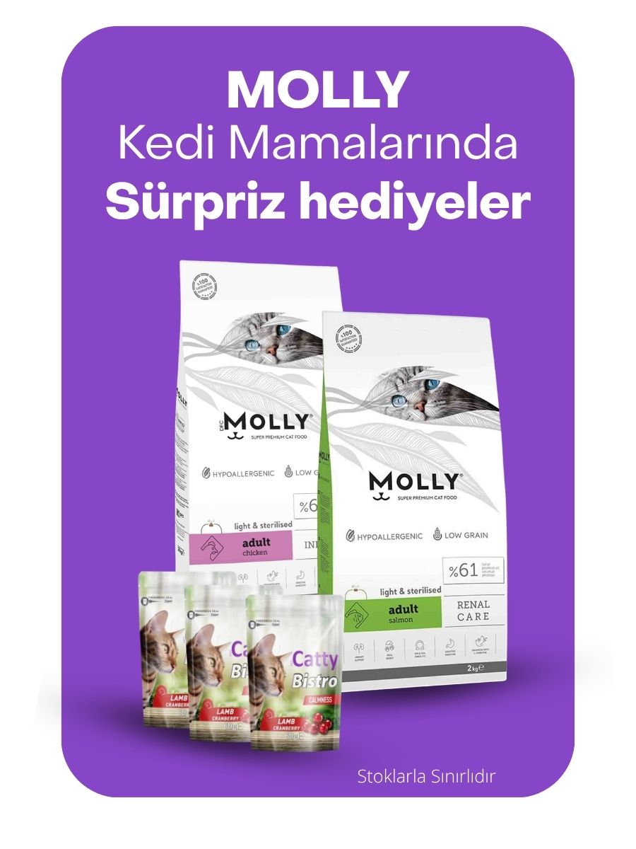 Molly Kedi Mamaları Hediyeli