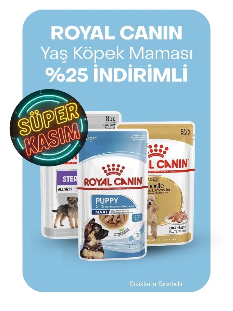 Royal Canin yaş köpek mamaları %25 indirimli