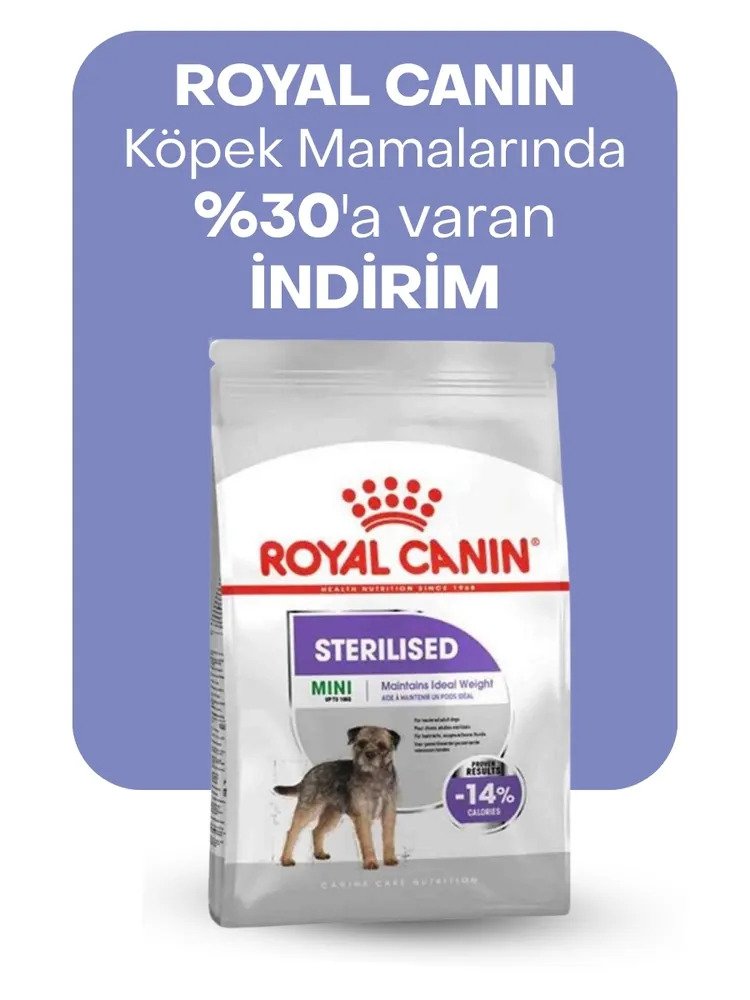 Royal Canin köpek mamalarında %30'a varan indirim