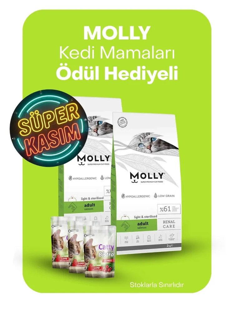 Molly kedi mamaları ödül hediyeli