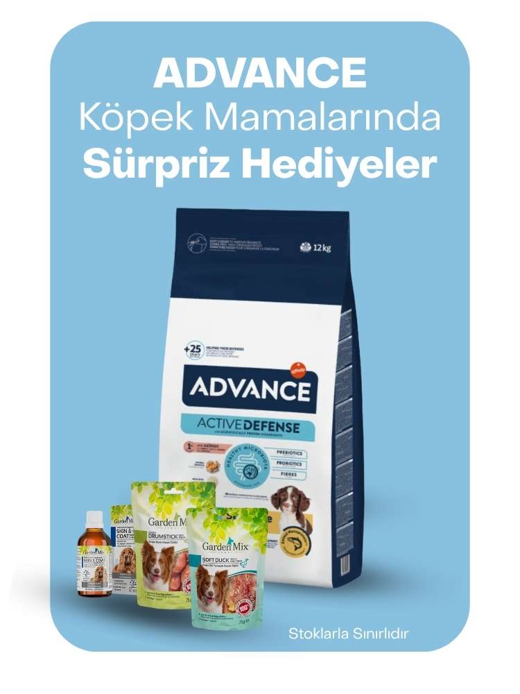 Advance köpek mamalarında sürpriz hediyeler