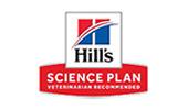 Hiil's