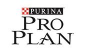 Pro Plan