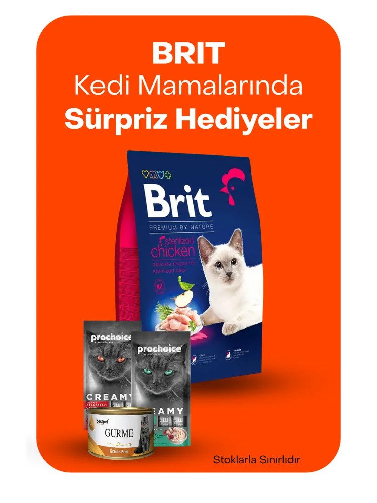 Brit kedi mamalarında sürpriz hediyeler