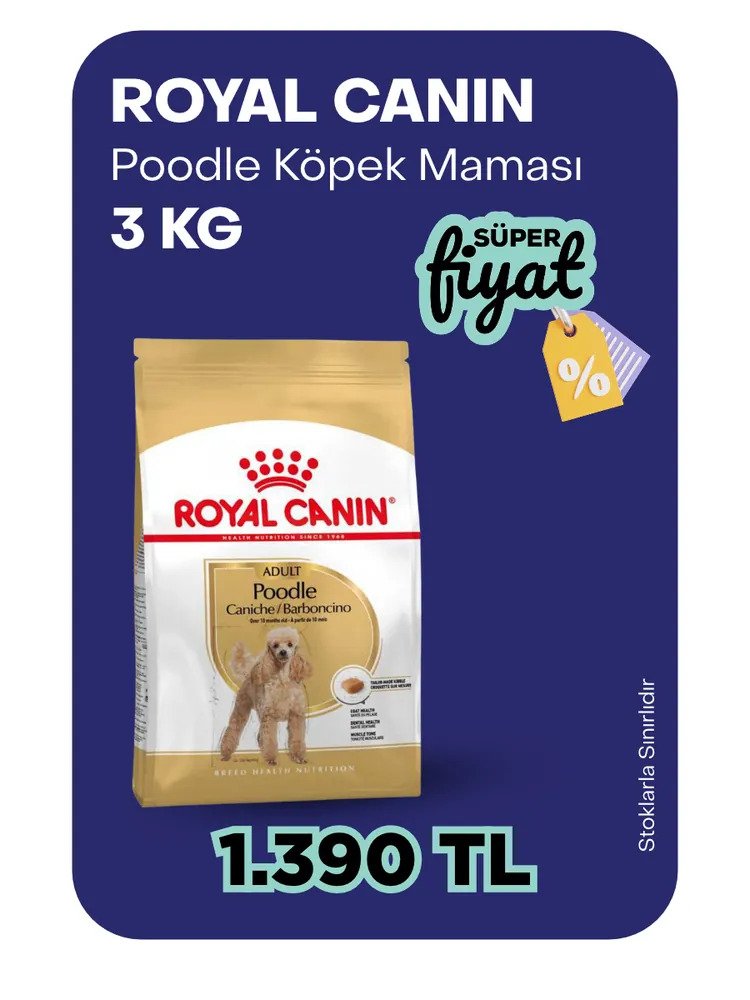 Royal Canin 3kg poodle köpek maması 1390tl