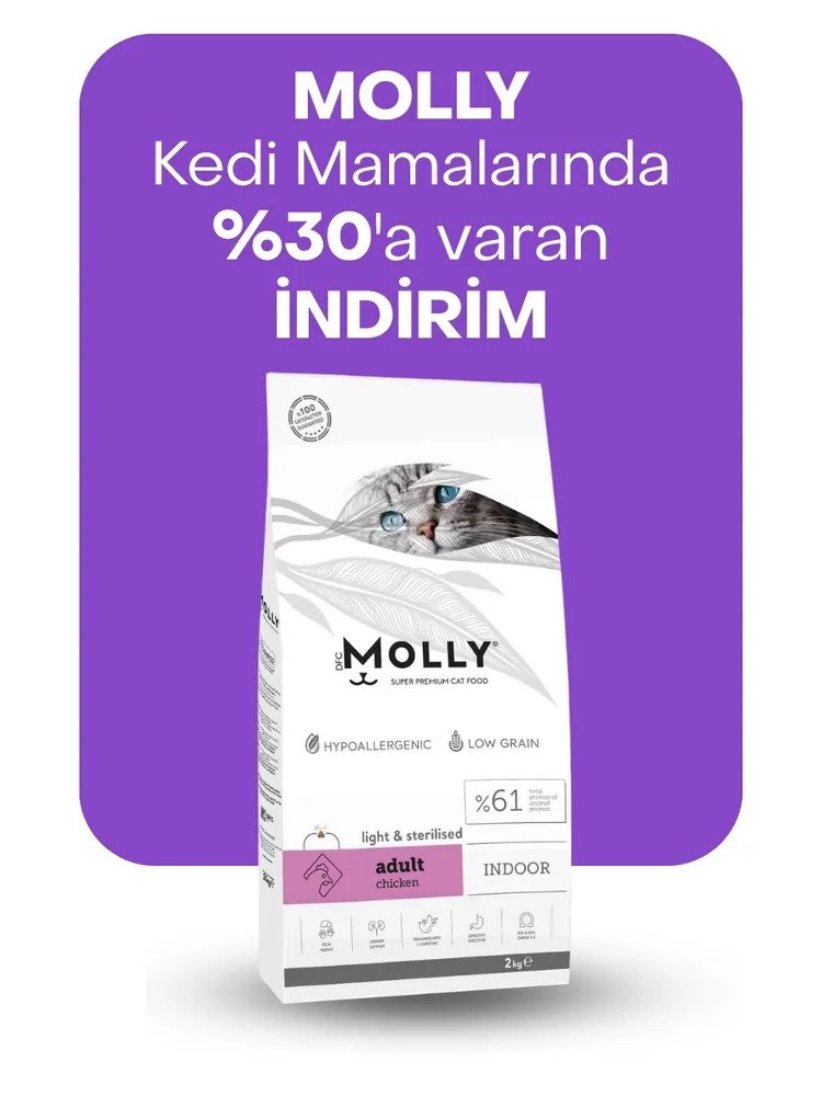 Molly kedi mamalarında %30'a varan indirim