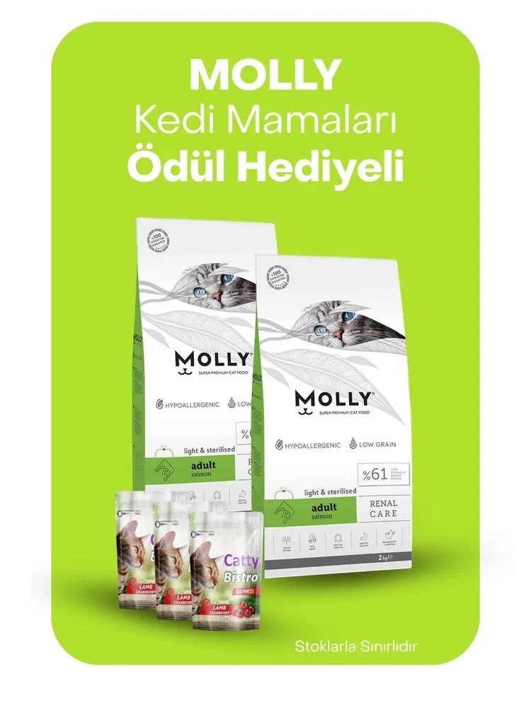 Molly kedi mamaları ödül hediyeli