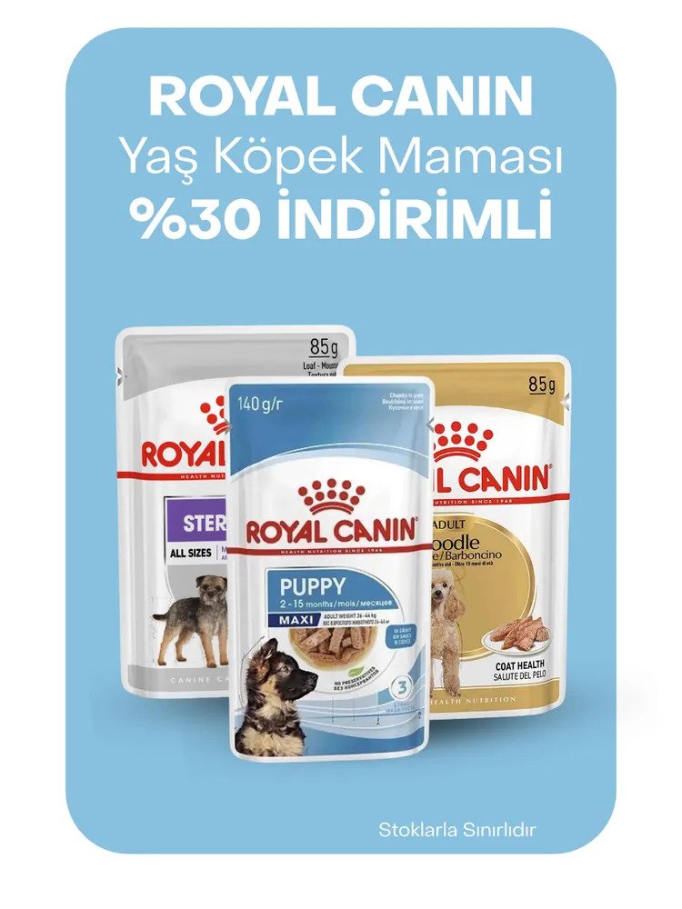 Royal Canin yaş köpek mamaları %30 indirimli