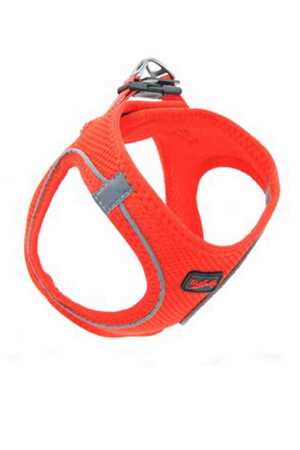 TAILPETZ - Tailpetz Air-Mesh Harness Garnet Köpek Göğüs Tasması 3XS