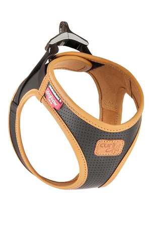 CURLI - Curli Apple Leather Harness Black L