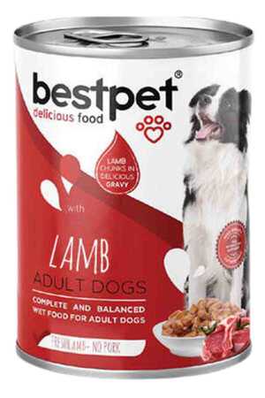 BESTPET - Bestpet Kuzu Etli Yetişkin Köpek Konservesi 415gr BESTPET - Bestpet Kuzu Etli Yetişkin Köpek Konservesi 415gr