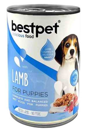 BESTPET - Bestpet Puppy Kuzu Etli Yavru Köpek Konservesi 415gr BESTPET - Bestpet Puppy Kuzu Etli Yavru Köpek Konservesi 415gr