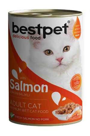 BESTPET - Bestpet Somon Balıklı Yetişkin Kedi Konservesi 400gr BESTPET - Bestpet Somon Balıklı Yetişkin Kedi Konservesi 400gr