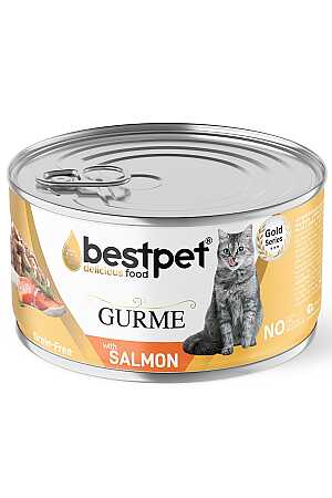 Bestpet Jöle İçerisinde Somonlu Yetişkin Kedi Konservesi 85gr