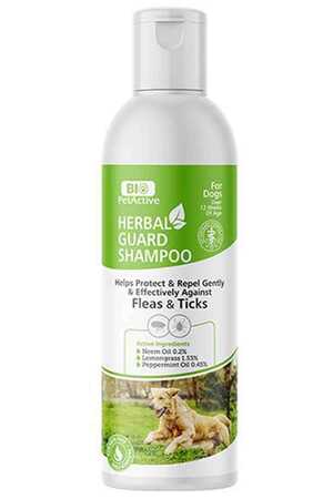 BIO PETACTIVE - Bio PetActive Antiseptik Pire Köpek Şampuanı 250ml BIO PETACTIVE - Bio PetActive Antiseptik Pire Köpek Şampuanı 250ml