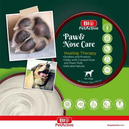  - Bio Pet Active Paw & Nose Care Pati ve Burun Kremi 50gr