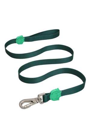 LINDO - Lindo Brazil Gezdirme Kayışı M