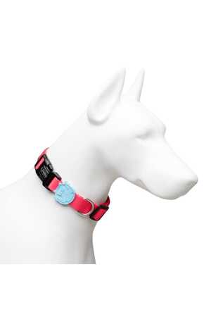 Lindo Bubble Boyun Tasması M - Thumbnail (2)