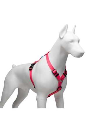 Lindo Bubble H Tipi Göğüs Tasması S - Thumbnail