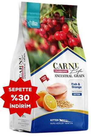 Carni Life Cranberry Ancestral Grain Balık ve Portakal Yavru Kedi Maması 5kg - Thumbnail