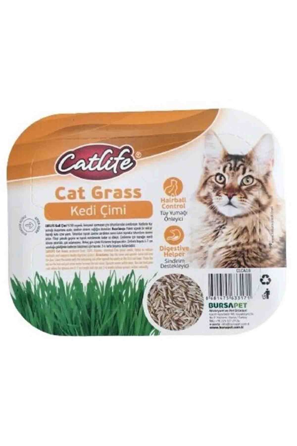 Catlife Kedi Çimi