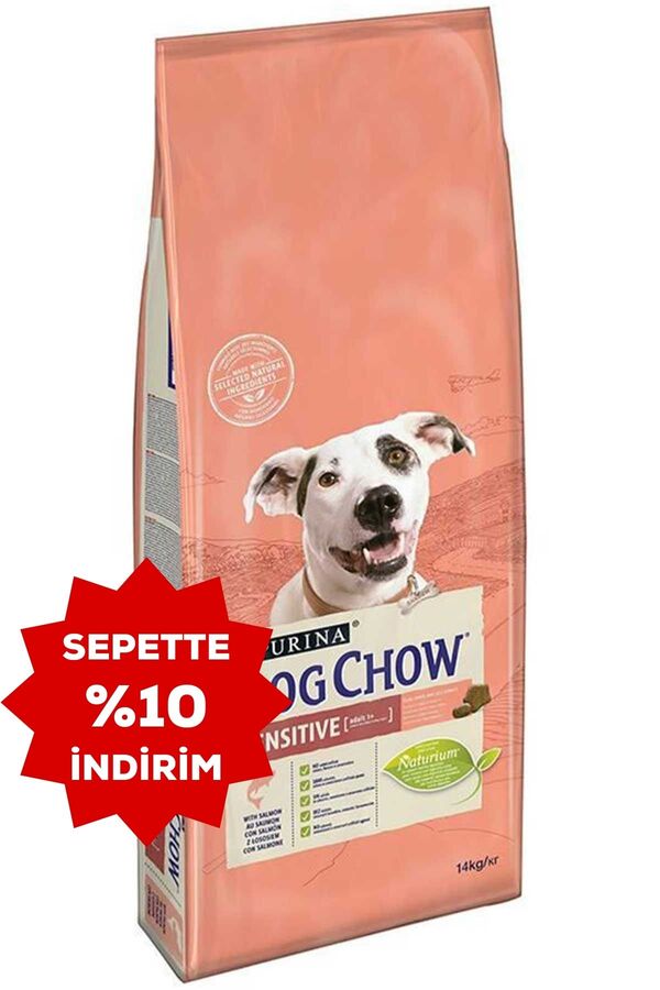 Dog Chow Hassas Köpekler için Somonlu Yetişkin Köpek Maması 14kg