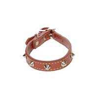 EASTLAND - Eastland Metal Aksesuarlı Deri Köpek Boyun Tasması 35cm EASTLAND - Eastland Metal Aksesuarlı Deri Köpek Boyun Tasması 35cm