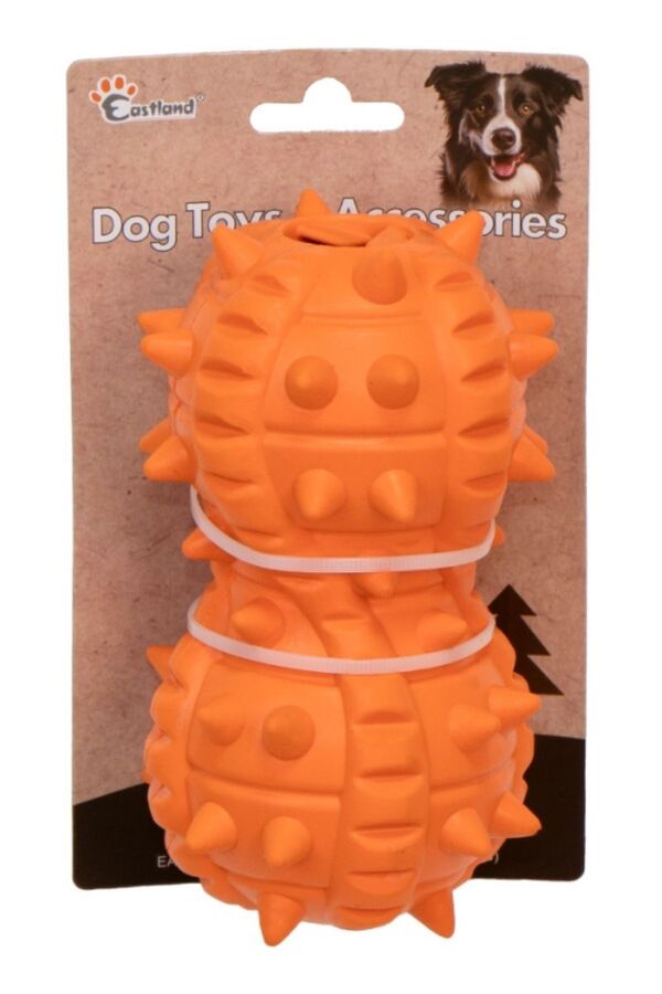 Eastland Ödül Hazneli Dikenli Yer Fıstığı 15cm