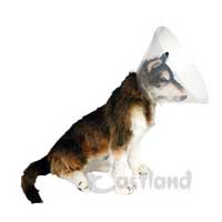 EASTLAND - Eastland Elizabeth Köpek Yakalığı 20cm EASTLAND - Eastland Elizabeth Köpek Yakalığı 20cm