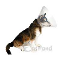 EASTLAND - Eastland Elizabeth Köpek Yakalığı 25cm EASTLAND - Eastland Elizabeth Köpek Yakalığı 25cm