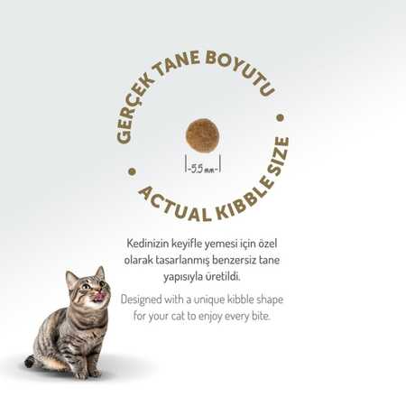 Felicia Düşük Tahıllı Hipoalerjenik Kuzu Etli Yavru Kedi Maması 12kg - Thumbnail