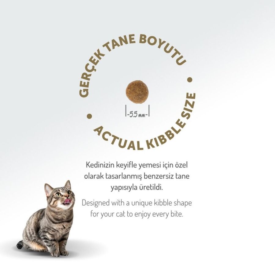 Felicia Düşük Tahıllı Hipoalerjenik Kuzu Etli Yavru Kedi Maması 12kg