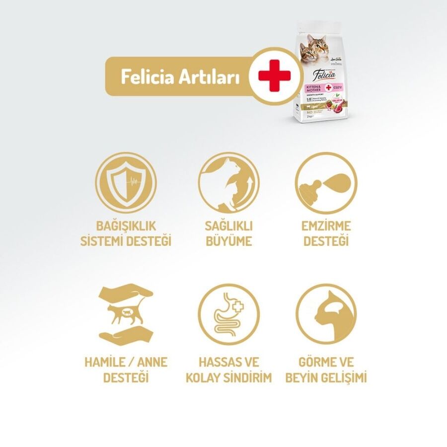 Felicia Düşük Tahıllı Hipoalerjenik Kuzu Etli Yavru Kedi Maması 2kg