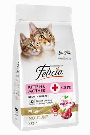 Felicia Düşük Tahıllı Hipoalerjenik Kuzu Etli Yavru Kedi Maması 2kg - Thumbnail