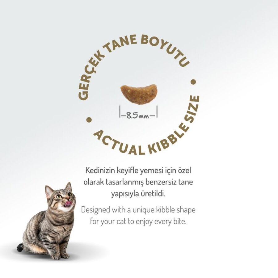 Felicia Düşük Tahıllı Hipoalerjenik Kuzu Etli Yetişkin Kedi Maması 12kg