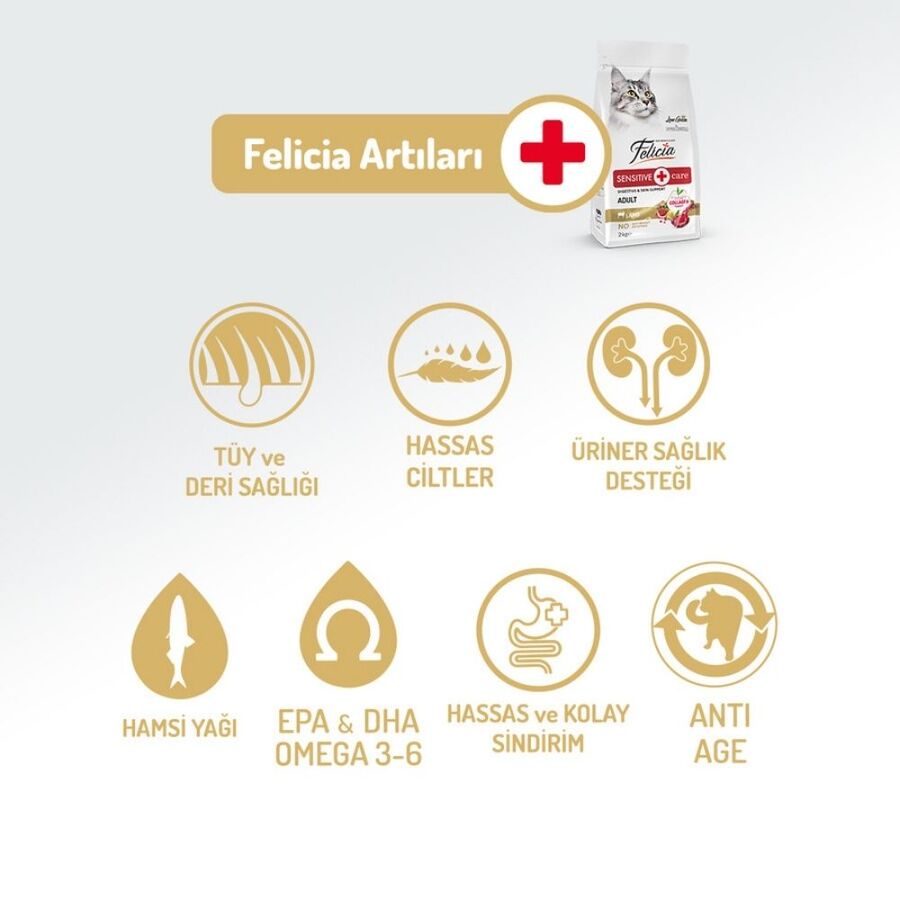 Felicia Düşük Tahıllı Kolajenli Hipoalerjenik Kuzu Etli Yetişkin Kedi Maması 2kg