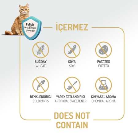 Felicia Düşük Tahıllı Kolajenli Hipoalerjenik Kuzu Etli Yetişkin Kedi Maması 2kg - Thumbnail
