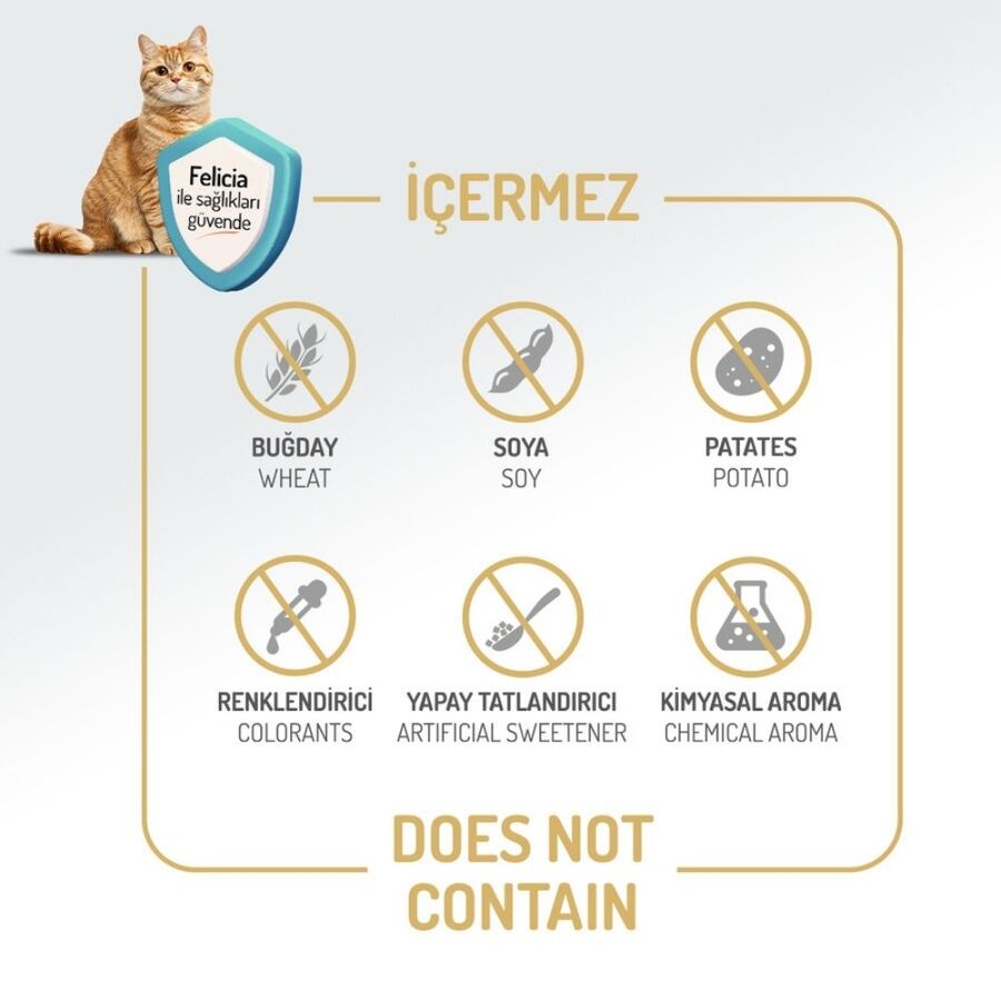 Felicia Düşük Tahıllı Kolajenli Hipoalerjenik Kuzu Etli Yetişkin Kedi Maması 2kg