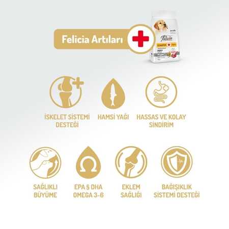 Felicia Düşük Tahıllı Hipoalerjenik Kuzu Etli Küçük ve Orta Irk Yavru Köpek Maması 3kg - Thumbnail