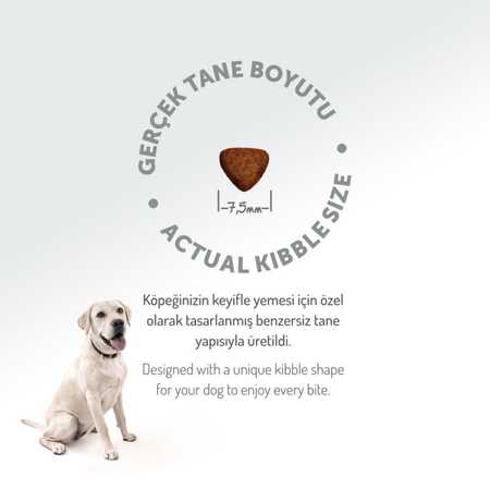 Felicia Düşük Tahıllı Hipoalerjenik Kuzu Etli Küçük ve Orta Irk Yavru Köpek Maması 3kg - Thumbnail