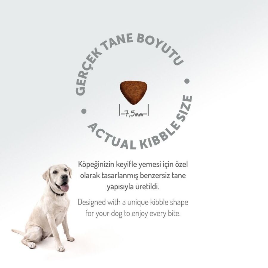 Felicia Düşük Tahıllı Hipoalerjenik Kuzu Etli Küçük ve Orta Irk Yavru Köpek Maması 3kg