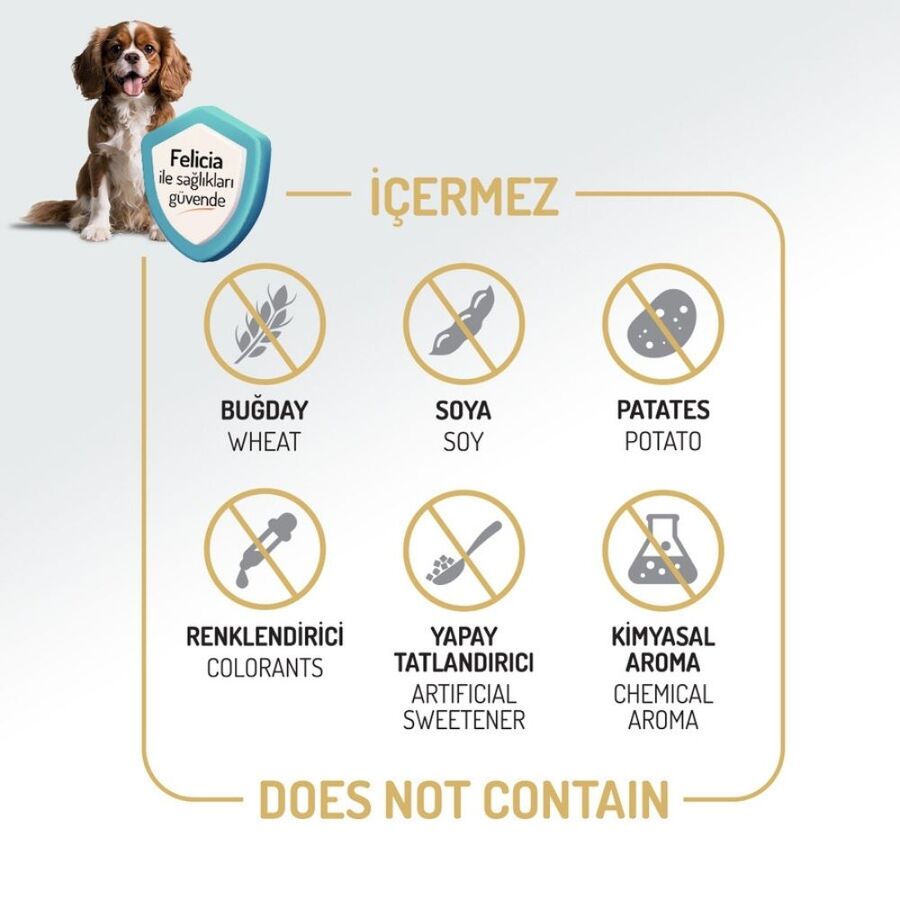 Felicia Düşük Tahıllı Hipoalerjenik Kuzu Etli Orta ve Büyük Irk Yetişkin Köpek Maması 15kg Felicia Düşük Tahıllı Hipoalerjenik Kuzu Etli Orta ve Büyük Irk Yetişkin Köpek Maması 15kg