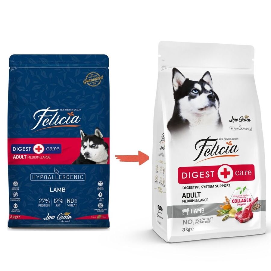 Felicia Düşük Tahıllı Hipoalerjenik Kuzu Etli Orta ve Büyük Irk Yetişkin Köpek Maması 3kg Felicia Düşük Tahıllı Hipoalerjenik Kuzu Etli Orta ve Büyük Irk Yetişkin Köpek Maması 3kg