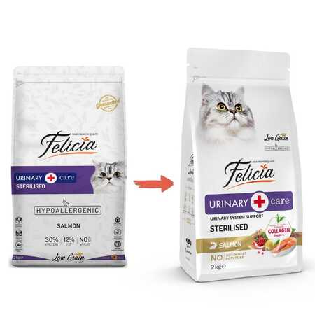 Felicia Düşük Tahıllı Hipoalerjenik Somonlu Kısırlaştırılmış Kedi Maması 2kg - Thumbnail