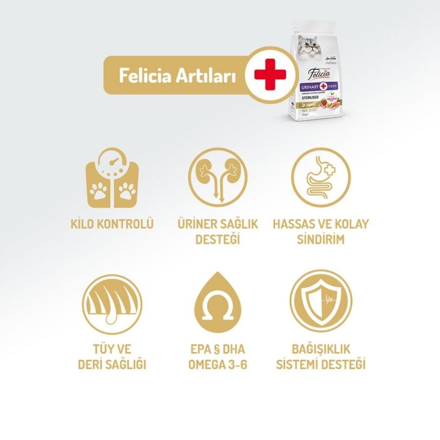 Felicia Düşük Tahıllı Hipoalerjenik Somonlu Kısırlaştırılmış Kedi Maması 2kg