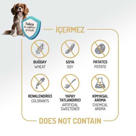 Felicia Düşük Tahıllı Hipoalerjenik Somonlu Küçük Irk Yetişkin Köpek Maması 3kg - Thumbnail
