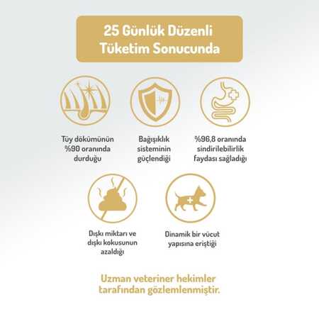 Felicia Düşük Tahıllı Hipoalerjenik Somonlu Küçük Irk Yetişkin Köpek Maması 3kg - Thumbnail